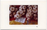 Knoblauch