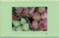 Thailändische Tempelblumen