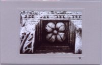 Steinblume