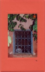 Fenster mit Orange