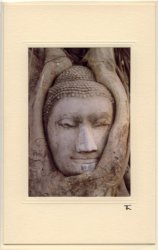 Buddhakopf