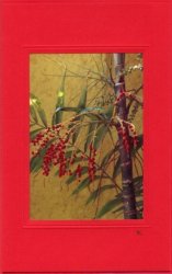 Palmfrucht