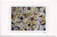 Blumenschale
