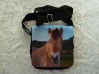 Kleine Tasche Braunes Pferd 18x20cm