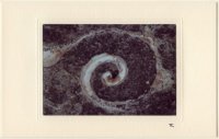 Schnecke